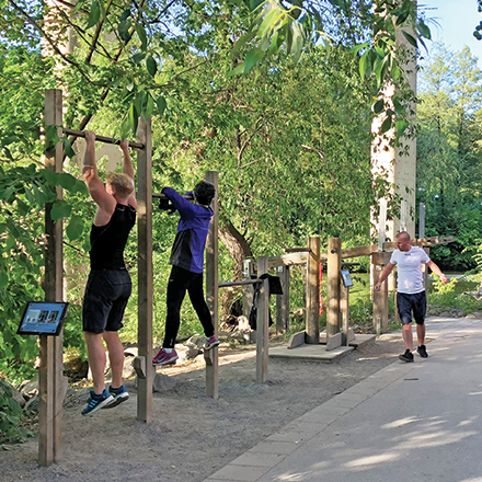 People on outdoor exercise equipment