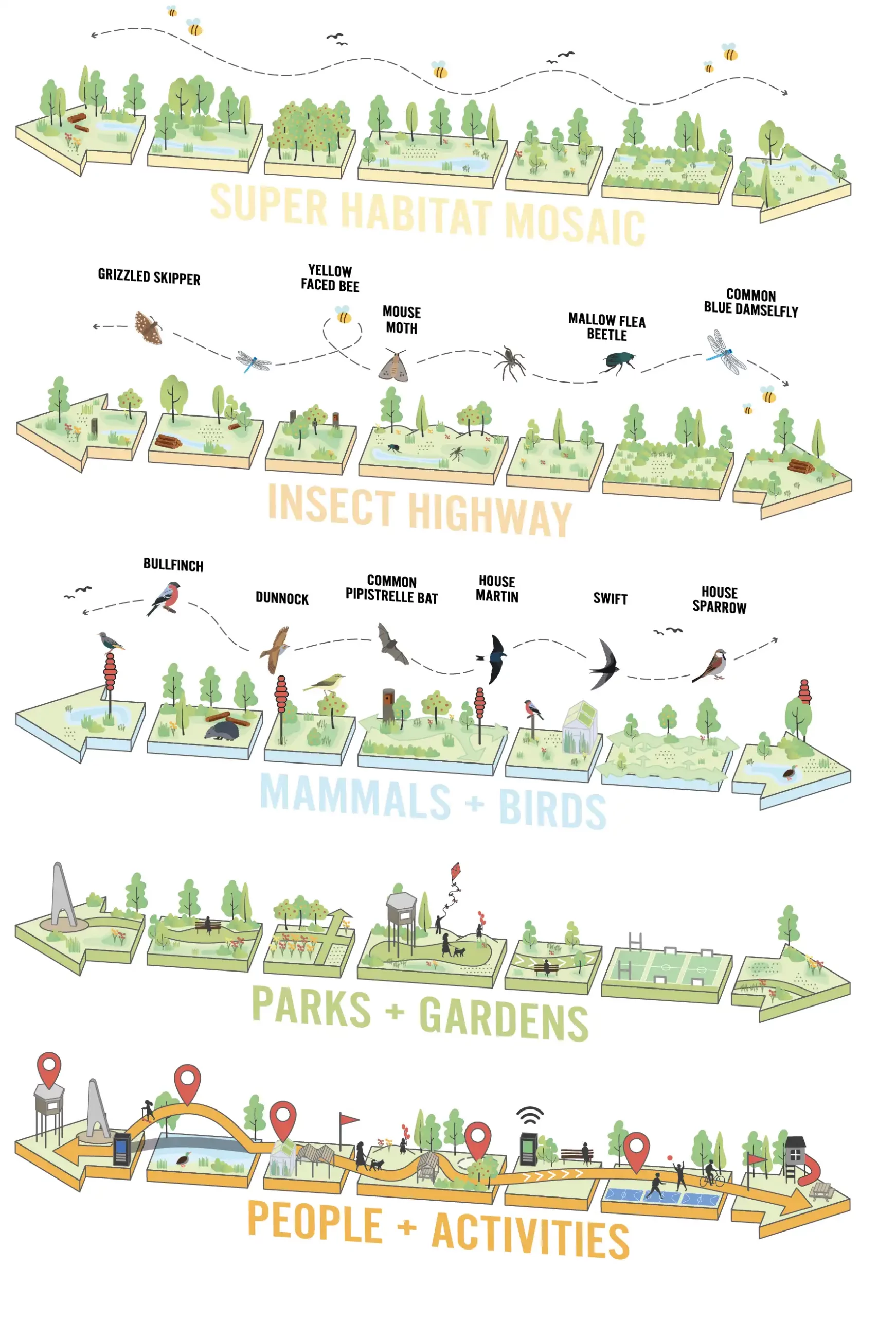 Diagram showing the 5 different conceptual layers in Runway Park: super habitat mosaic; insect highway; mammals and birds; parks and gardens; people and activities
