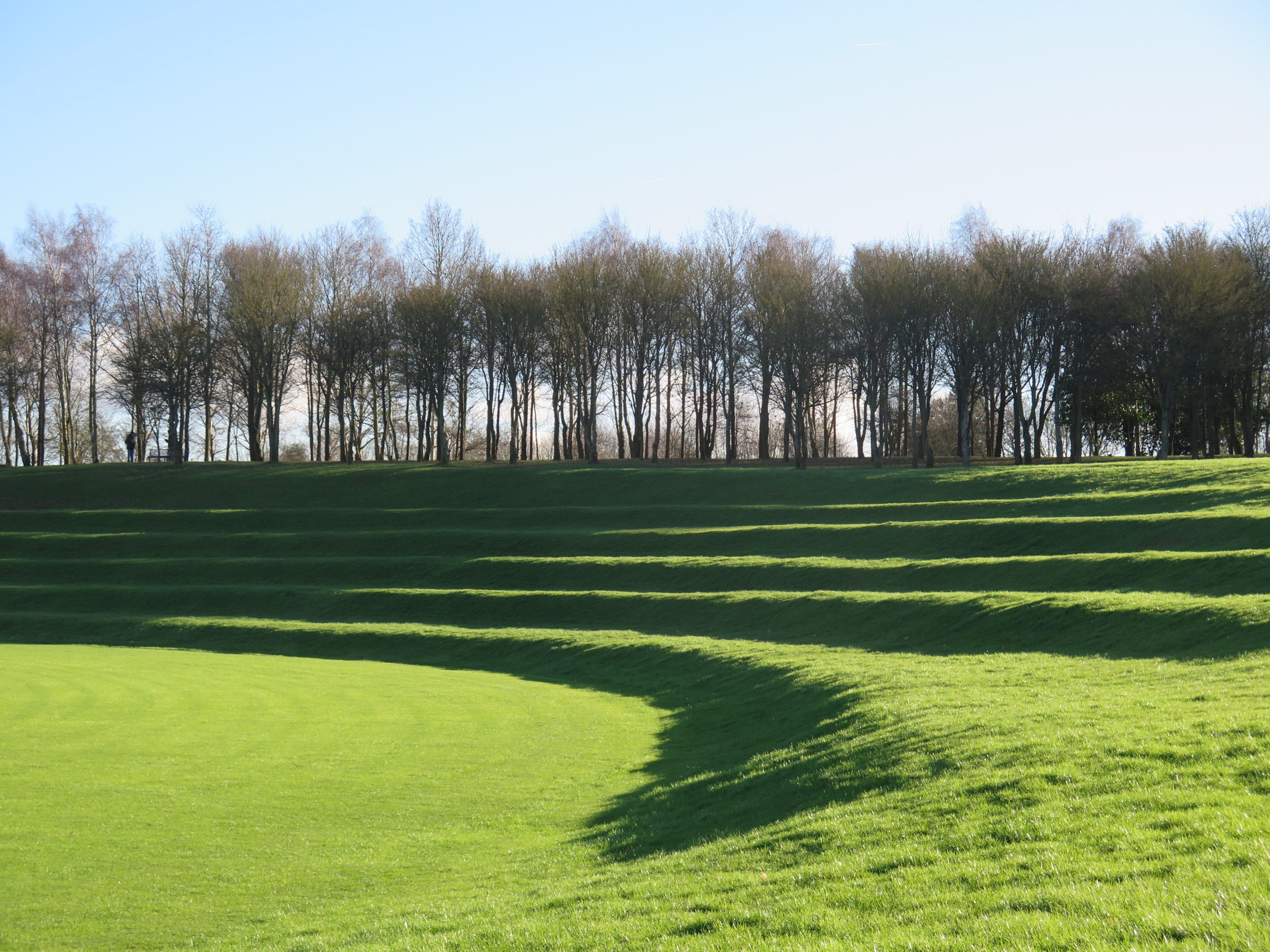 green field with trees in the background