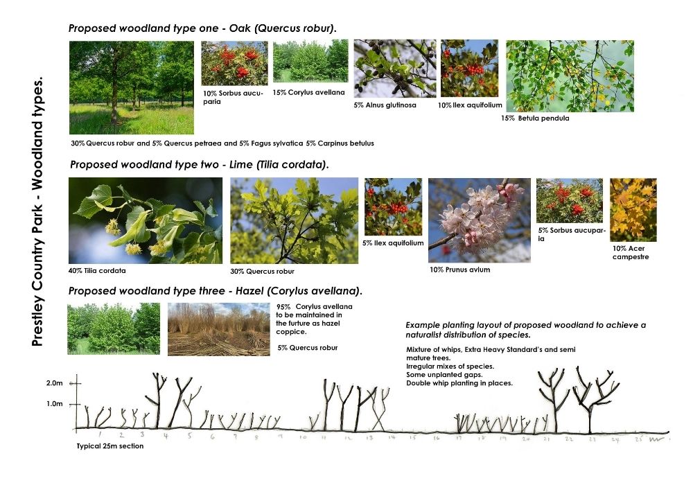 Tree mix